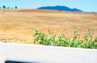 Herdade dos Castelejos - Foto 58