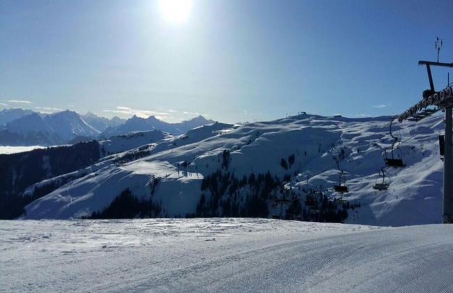 Flat in Mittersill Near Ski Lift - Foto 41