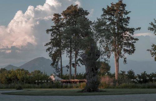 i Cacciagalli Wine Resort - Foto 15