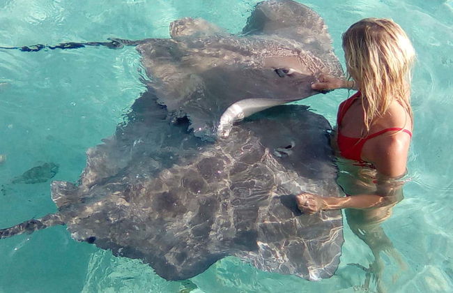 Paseo en barco con fondo de cristal - Foto 7