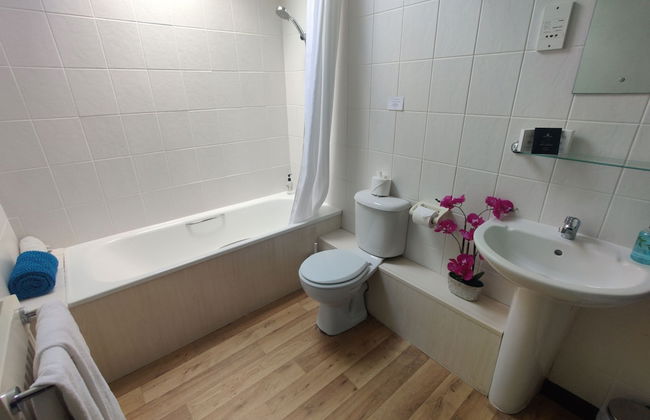 Birds Farm - Foto 41