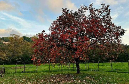 Casal'terra - Il Fosso - Foto 54