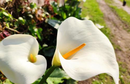 Domaine des Prés de Joussac - Entre Estuaire et Océan - Foto 64