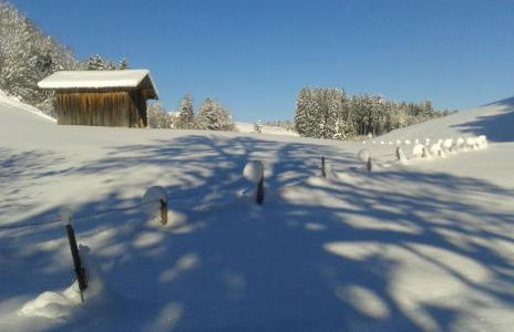 Haus Hochwies - Foto 16