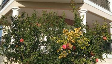 Η Αυλή - Foto 5