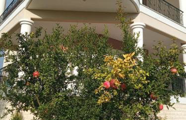 Η Αυλή - Photo 5