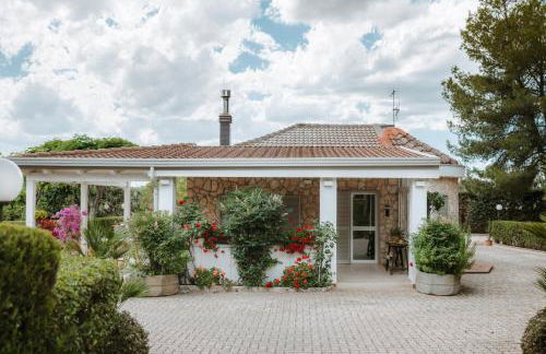 Villa Cercis - Puglia - Foto 58