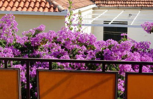 Apartments Indira - Foto 11