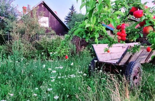 Willa Reglówka Stylowy dom Pachnący ogród - Foto 42