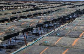 Villa Ty Koad 4 étoiles Piscine Intérieure 28C Plage et GR34 à 50m - Foto 73