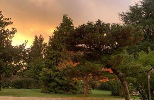 L’océan 20 - Foto 25