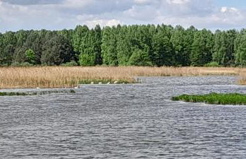 Leśniczówka Zielone Zakole - Foto 61
