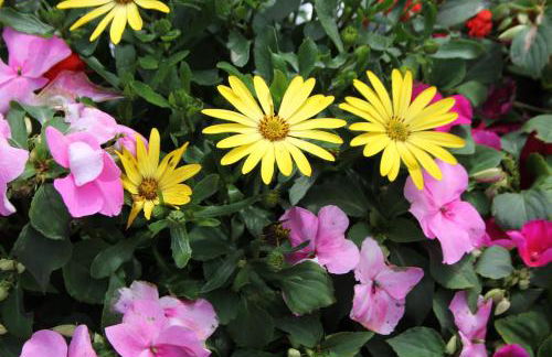 Mullarts Church Apartments - The Glencorp Apartment - Foto 17