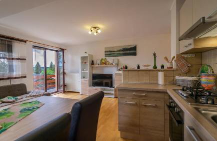 Apartman Suhi vrh - Foto 13