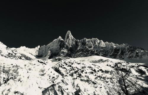 Le Petit Cham - Foto 47