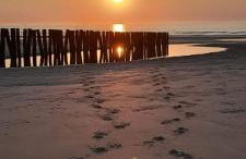 Le clapotis des flots - Foto 10