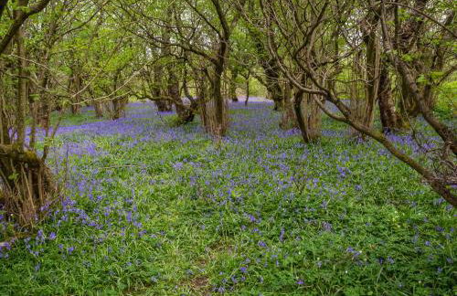 Winskill Cottage - Foto 13