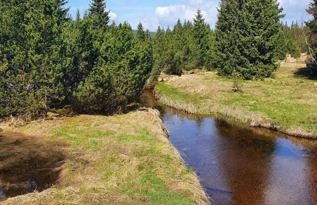 Holiday Villa in Beautiful Location - Photo 36