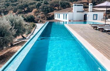 Herdade Ribeira de Borba - Foto 4