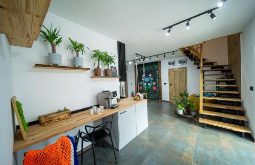 Czarni Górale - Foto 12