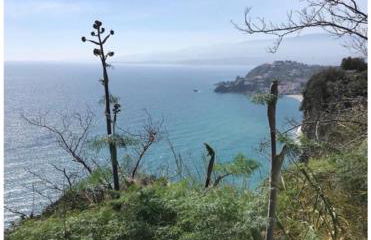 Residence Cassiodoro - Photo 5