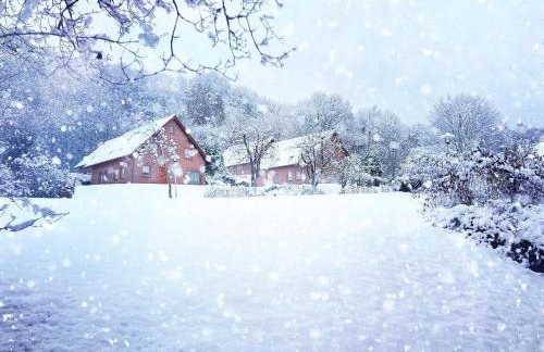 Wandern und Radeln im wunderschönen Teutoburger Wald - Natur Ferienpark 4 - Photo 36