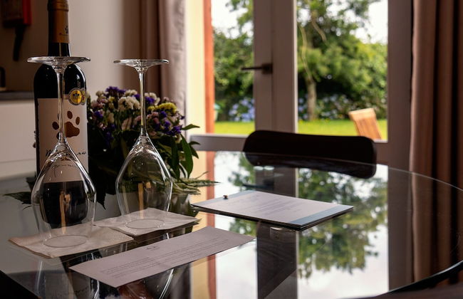 Quinta da Nasce Água - Photo 29