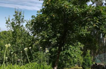 Quinta de S. Vicente 317 - Foto 48