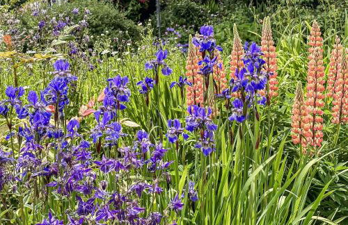 The Cottage - Foto 15