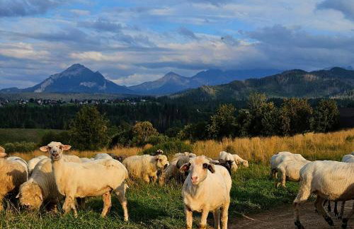 Góralska Chatka 2 Highland Cottage - Split AC, Jacuzzi, Sauna, Private parking, Mountains View, Garden, Zakopane - Foto 67