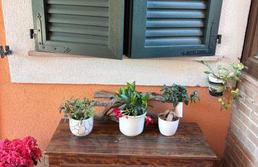 Il giardino delle rose - Foto 24