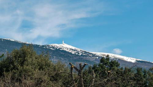 La Petite Maison - Photo 2