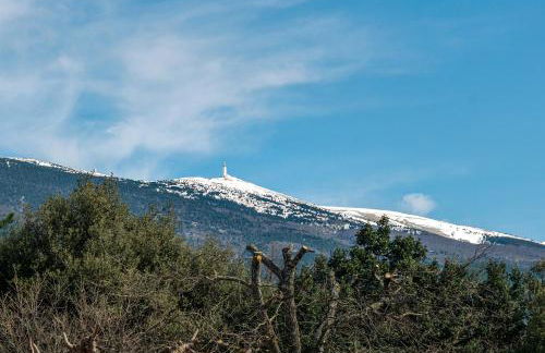 La Petite Maison - Photo 2