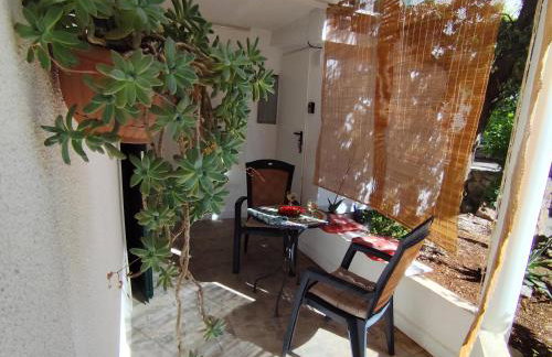 Ortopla Terrace Apartment Stinica - Photo 1