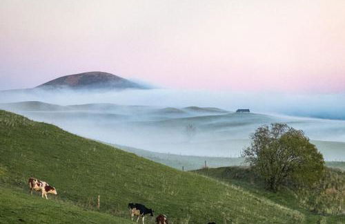 Maison 50 Belvédère du Cézallier - Photo 38