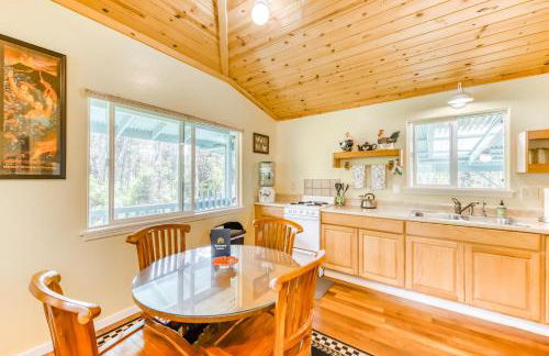 Kahu 'lo - Guardian Hawk - Foto 6