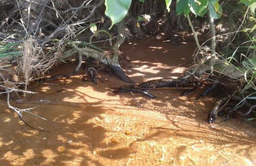 Villa "Schöni" - Foto 36