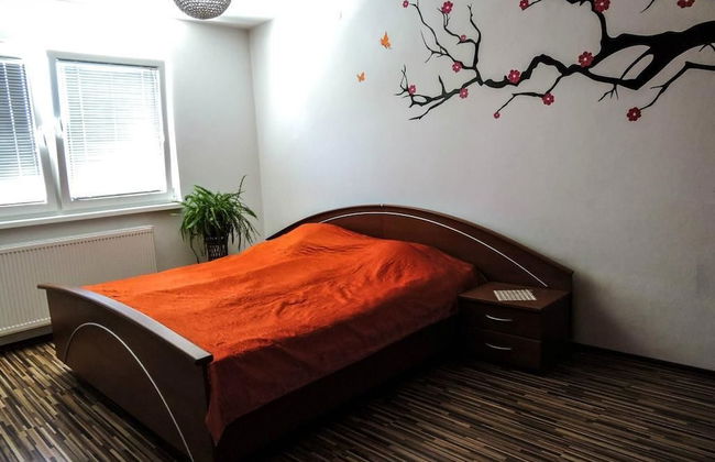 Apartments Basta - Foto 2