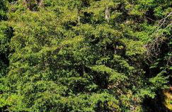 Villaggio Barilari - Foto 21