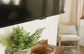 Redwood Grove in Sequoia and Kings Canyon National Park - Foto 21