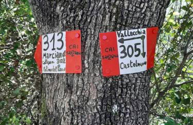 Fattoria Cristina Bilo Rosa - Foto 35