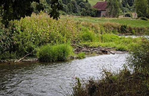 Two separate farmhouse apartments under one roof - Foto 35