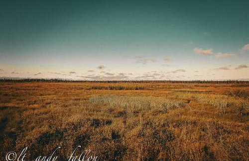 Northern Lights Log House w/ Sauna - Foto 67