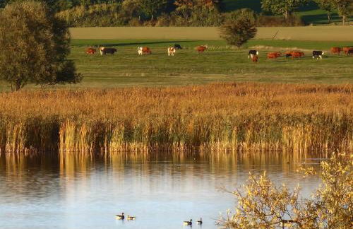 reoh I Maisonette am See I Malerischer Ausblick I Beamer I Berlin in 30min - Foto 54