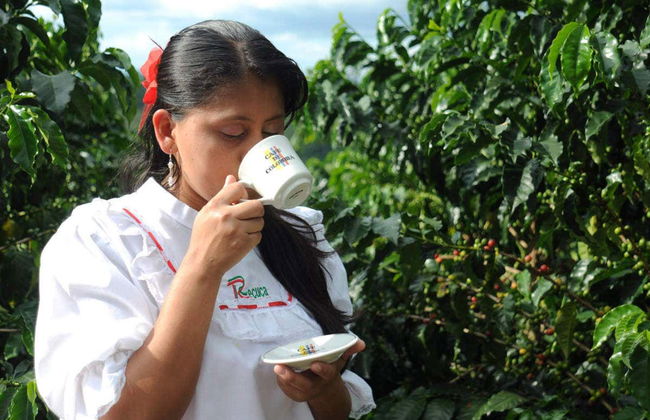 Excursion à la Finca Recuca - Photo 4