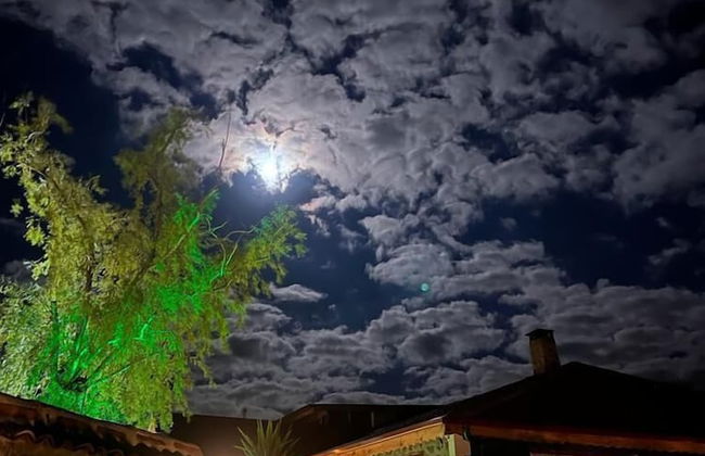 Madağ Bungalov - Photo 59