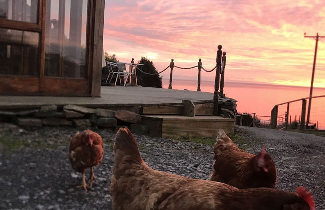 Beautiful Wales - Photo 30