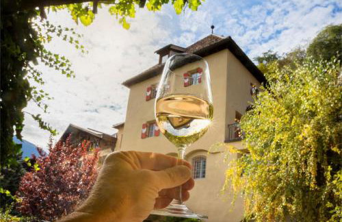 Weingut Köfelgut - Turris Vini - Foto 2