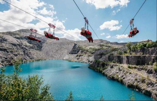 The Forager's Rest - Foto 71