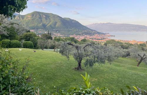 La Finestra Sul Garda DREAMING HOLIDAYS - Foto 63